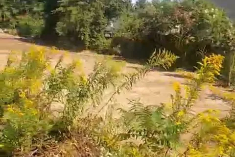 3294 Innisfil Beach Road, ON L9S 4C7