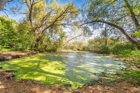 368 Main Street, ON L0G 1T0