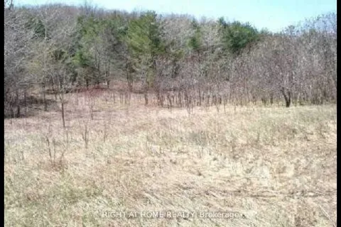 14600 jane Street, ON L7B 1A3