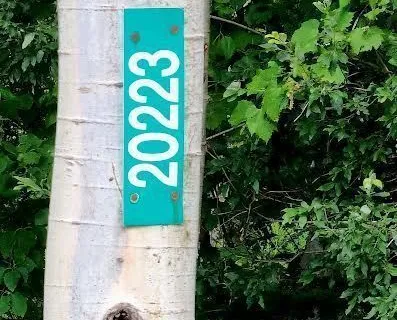 20223 Bathurst Street, ON L9N 1N3