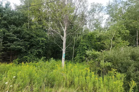 20223 Bathurst Street, ON L9N 1N3