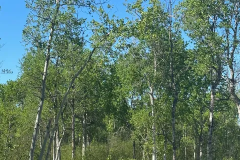 CON 7 PT LOT 1 Ravenshoe Road, ON L0E 1R0