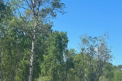 CON 7 PT LOT 1 Ravenshoe Road, ON L0E 1R0