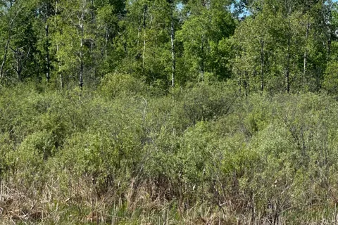 CON 7 PT LOT 1 Ravenshoe Road, ON L0E 1R0