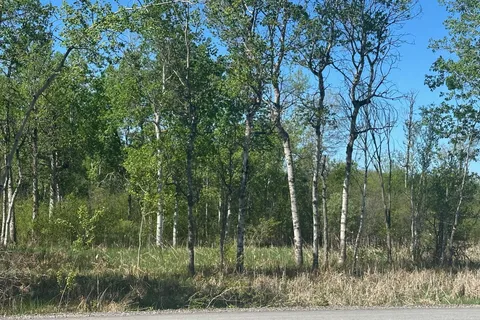 CON 7 PT LOT 1 Ravenshoe Road, ON L0E 1R0