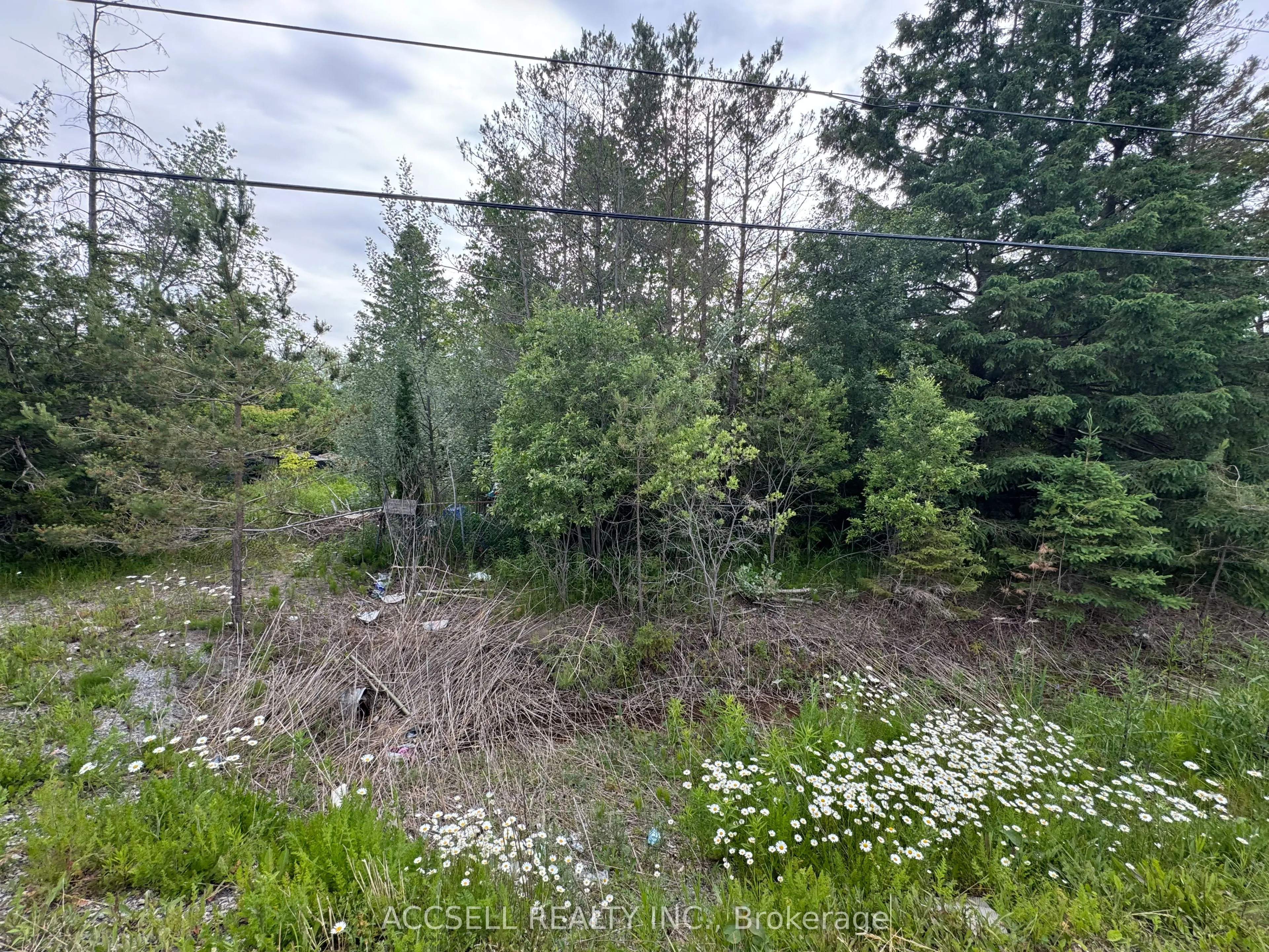 21416 48 Highway, ON L0G 1M0