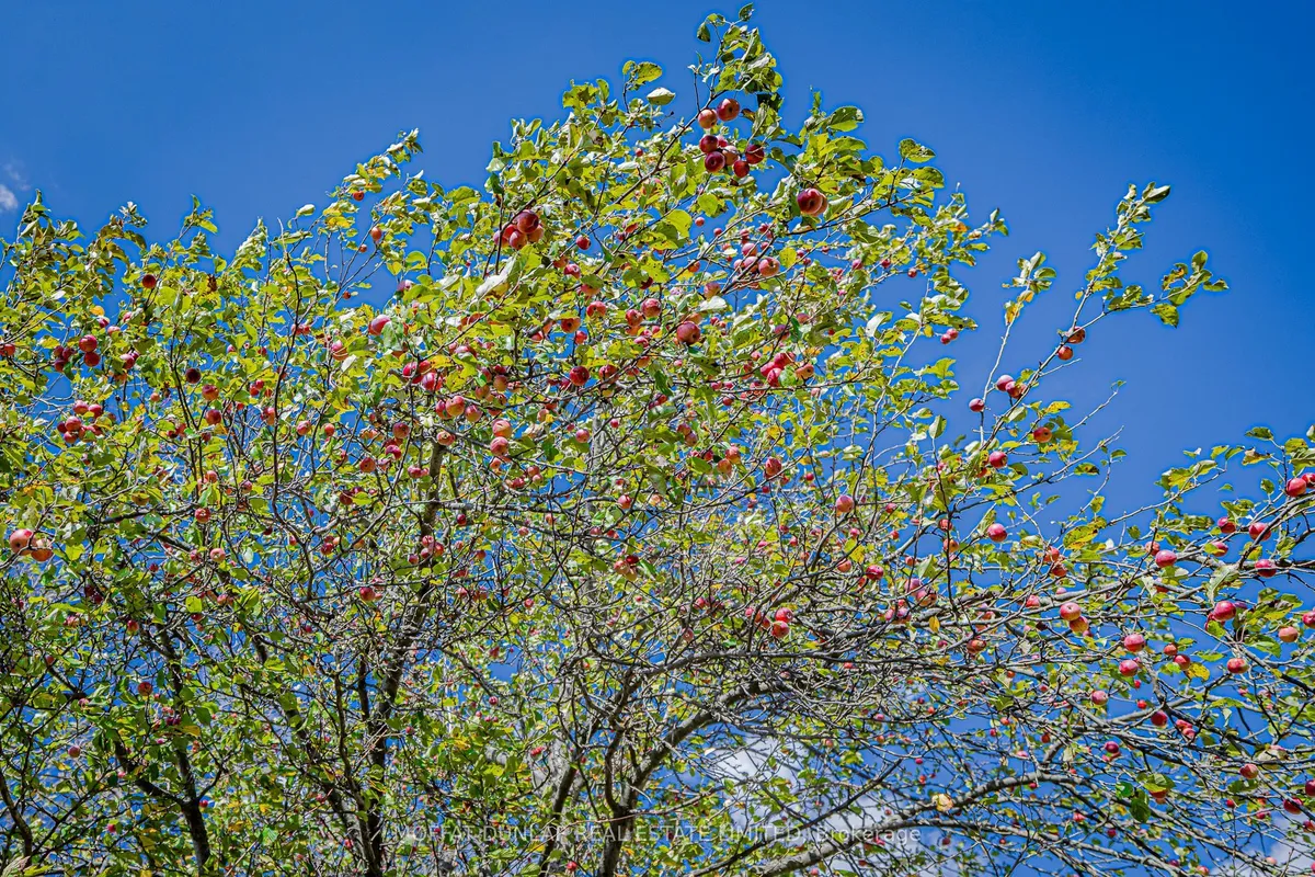 3012 Concession 8 Road, ON L0G 1W0