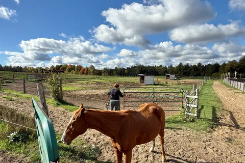 5031 Herald Road, ON L0G 1M0