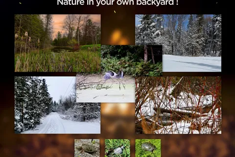 175 Concession 2 Road, ON L0C 1H0