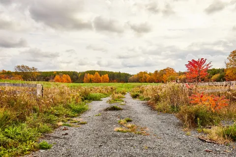 337 Regional Road 8 N/A, ON L9P 1R1