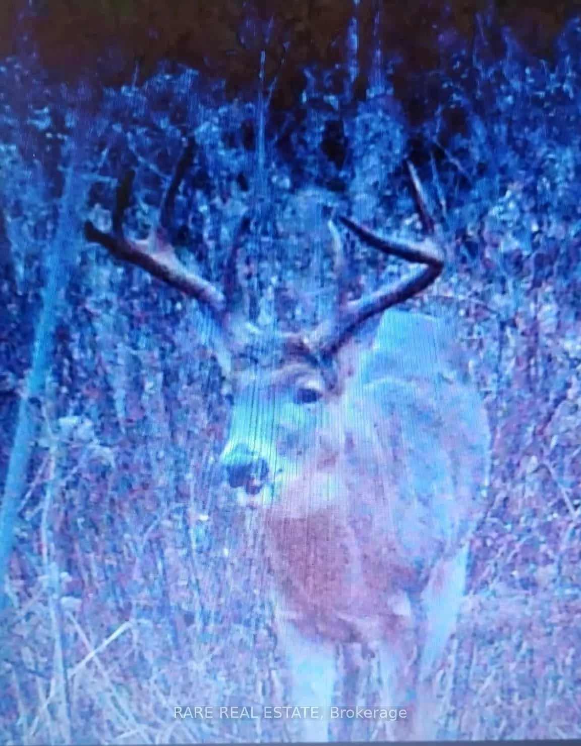 1121 Ferrier Avenue, ON L0L 1W0