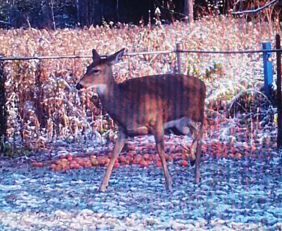 1121 Ferrier Avenue, ON L0L 1W0