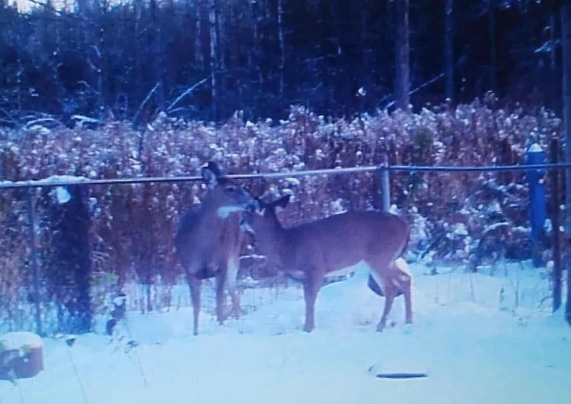 1121 Ferrier Avenue, ON L0L 1W0