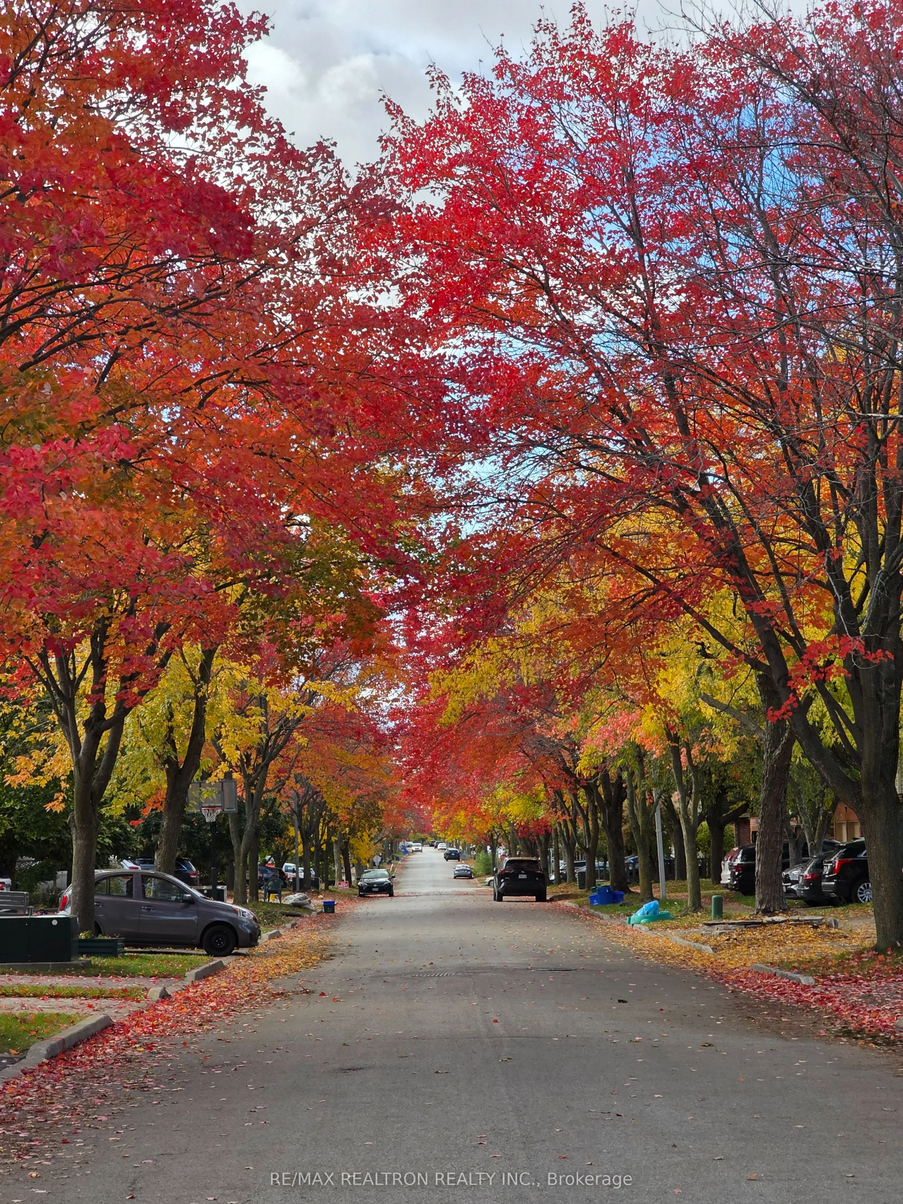 177 North Meadow Crescent, ON L4J 3C4