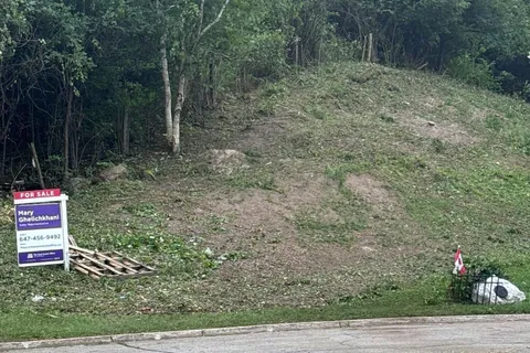 119 Stemmle Drive, ON L4G 6N8