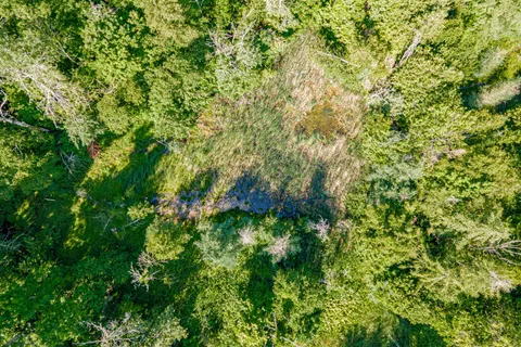 8294 County 27 Road, ON L4N 9C4