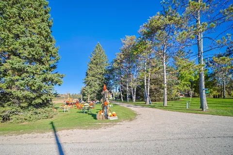 7423 Concession 3 Road, ON L0M 1M0