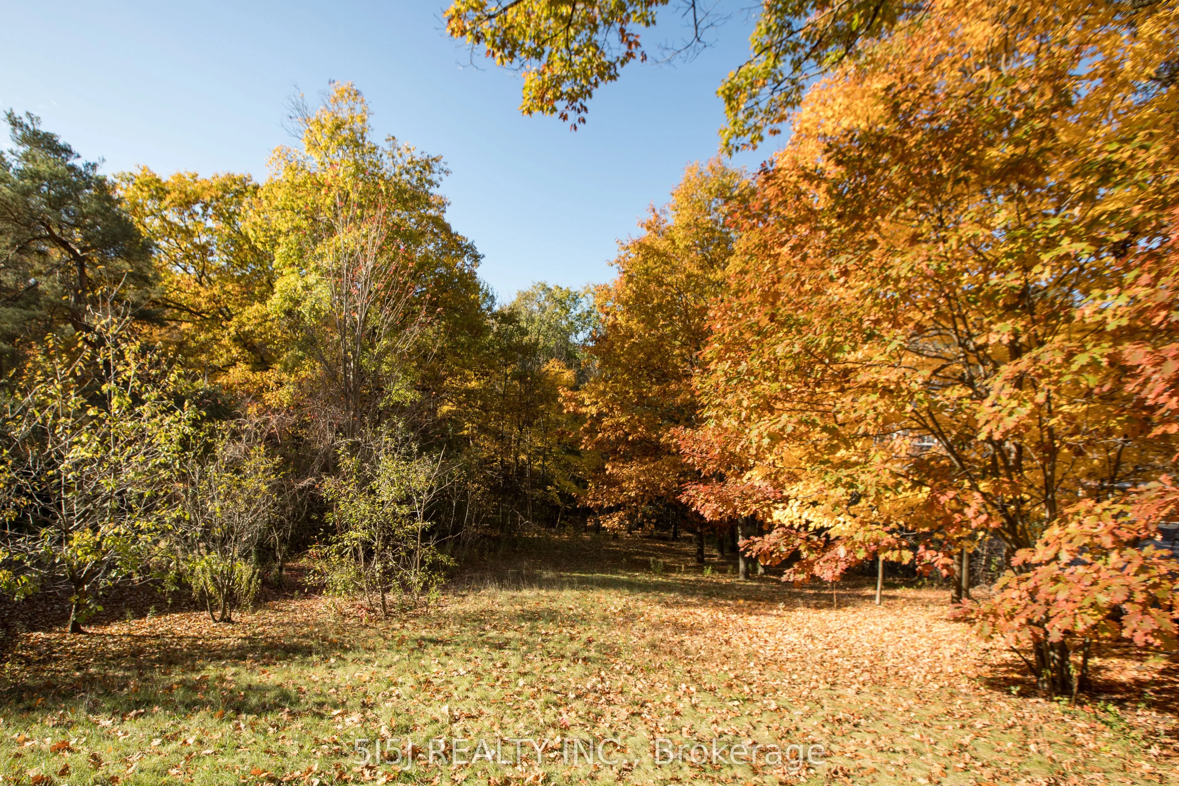 14190 Yonge Street, ON L4G 0P5