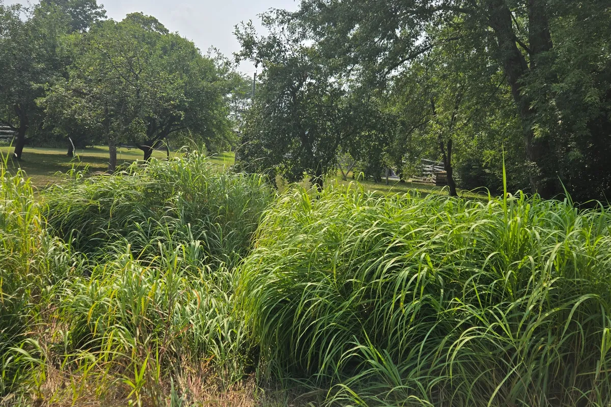 N/A Metro Road, ON L4P 3C8