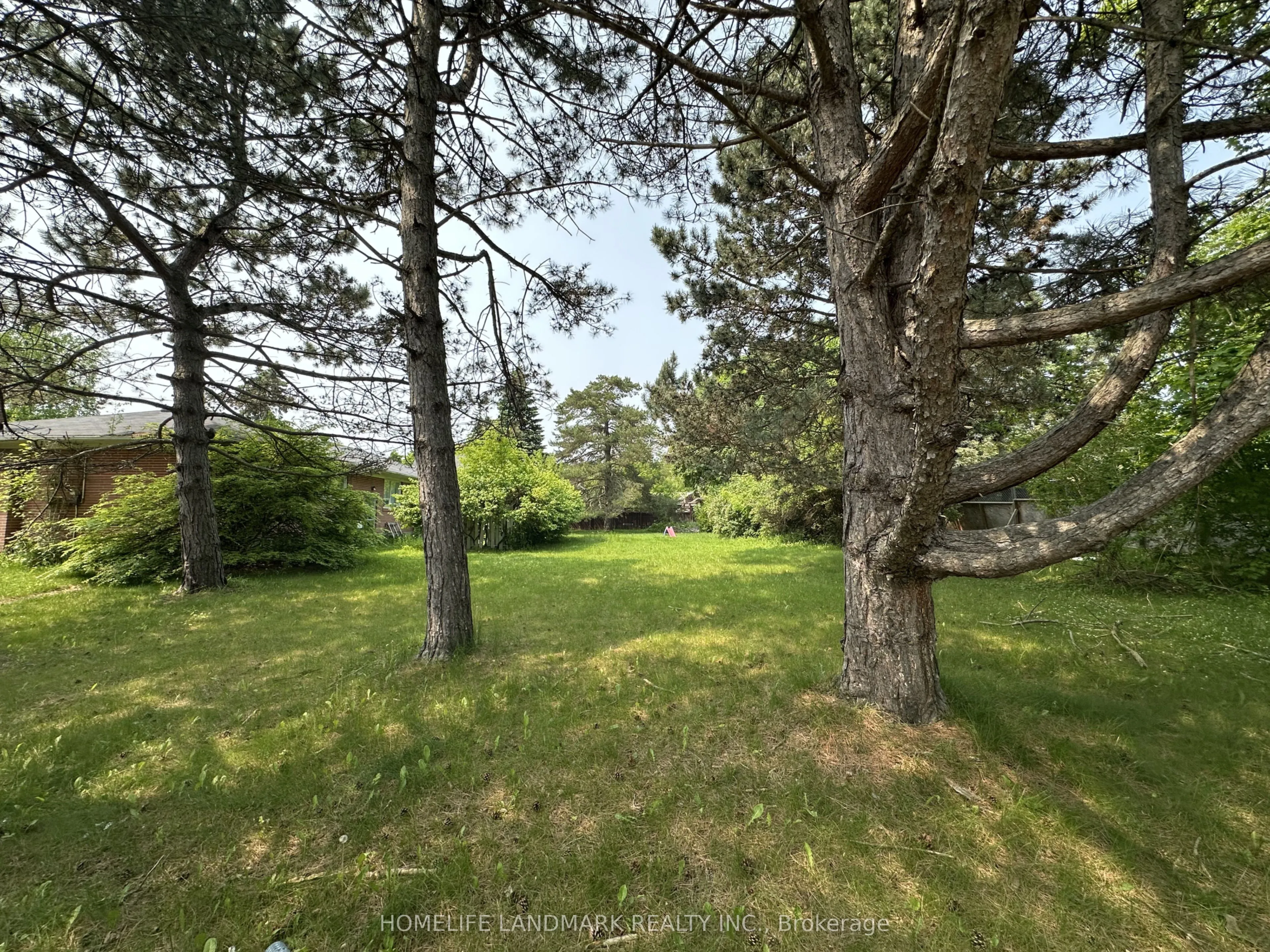 Detached living room at 21 Grandview Boulevard Markham
