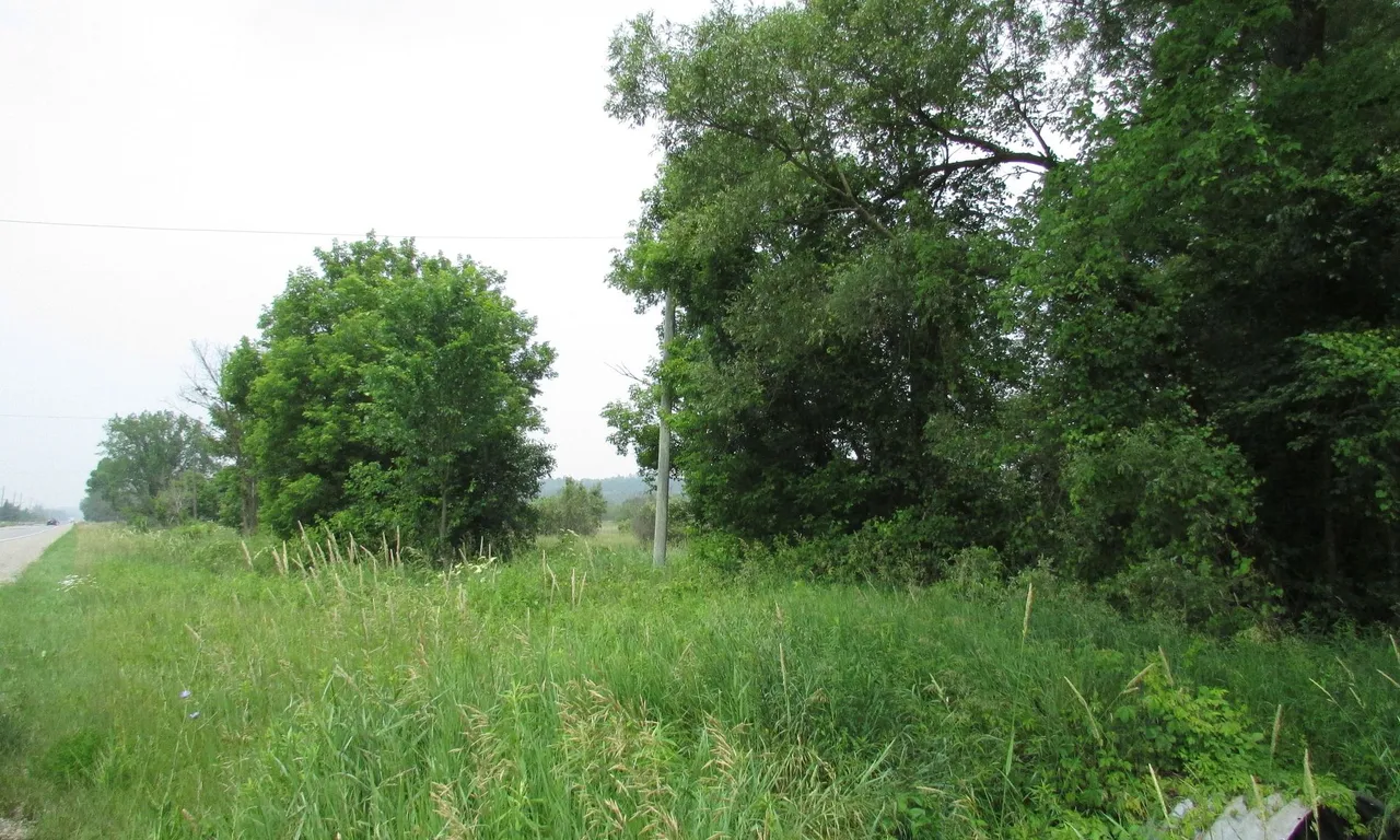 19633 Highway 48, East Gwillimbury, ON L0G 1M0