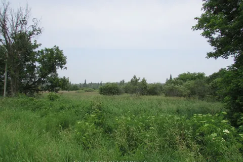 19633 Highway 48, East Gwillimbury, ON L0G 1M0