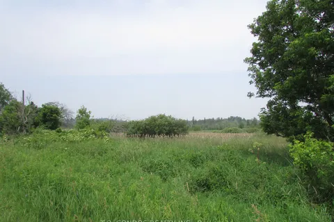 19633 Highway 48, East Gwillimbury, ON L0G 1M0