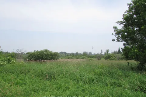 19633 Highway 48, East Gwillimbury, ON L0G 1M0