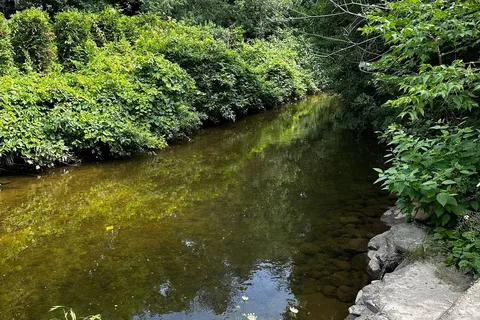8480 Nottawasaga River Rd, Adjala-Tosorontio, ON L0G 1L0