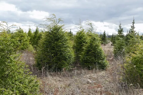 6005 Sunnidale Tosorontio Town Line, Adjala-Tosorontio, ON L0M 1N0