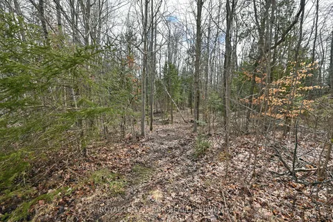 6005 Sunnidale Tosorontio Town Line, Adjala-Tosorontio, ON L0M 1N0