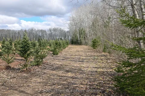 6005 Sunnidale Tosorontio Town Line, Adjala-Tosorontio, ON L0M 1N0