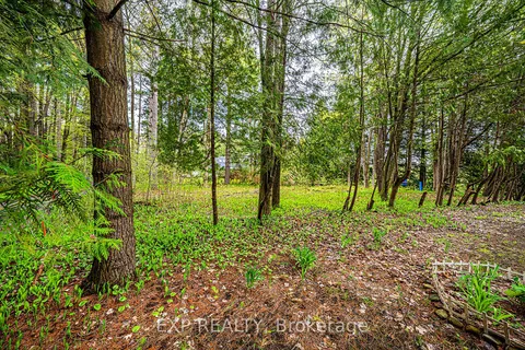 17 Memory Lane, Georgina, ON L0E 1N0