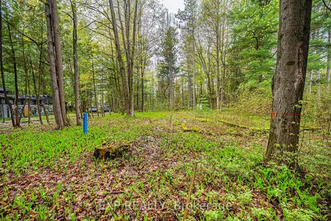 17 Memory Lane, Georgina, ON L0E 1N0