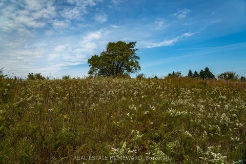 1430 COUNTY RD 50 N/A, ON L0N 1P0