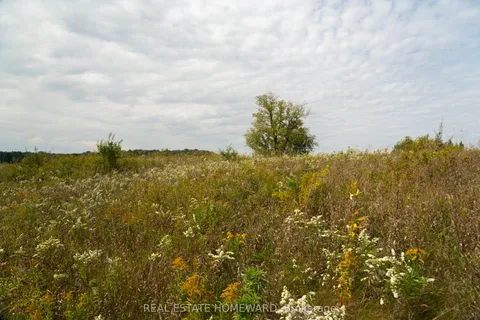 1430 COUNTY RD 50 N/A, ON L0N 1P0