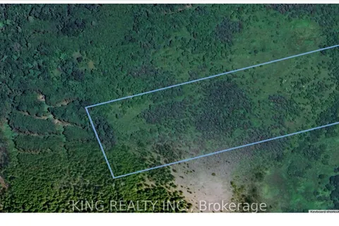 LOT 25 CON 3 PT, LAKE RIDGE Rd, Georgina, ON L0E 1N0
