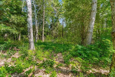 3358 Crescent Harbour Rd, Innisfil, ON L9S 2Y8