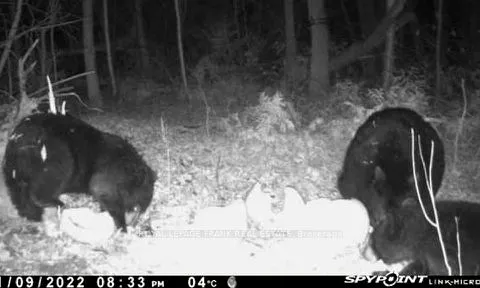 PT LT 7 CON 6 Brock N/A, ON L0C 1H0