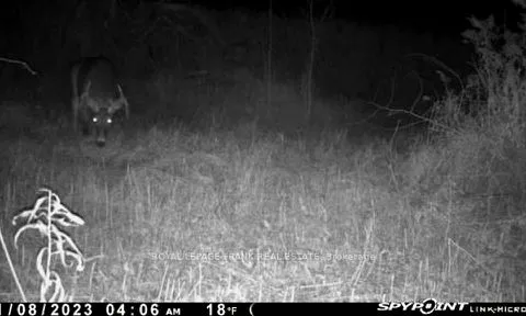 PT LT 7 CON 6 Brock N/A, ON L0C 1H0