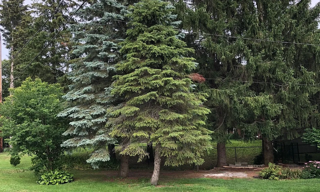 39 CEMETERY Rd, Uxbridge, ON L9P 1R1