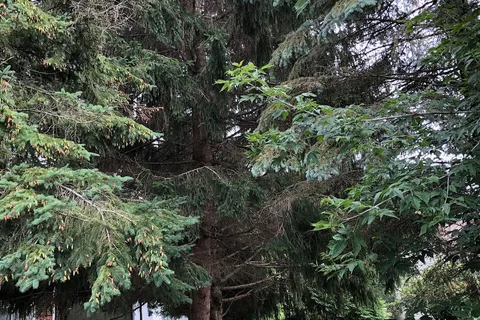 39 CEMETERY Rd, Uxbridge, ON L9P 1R1