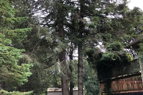 39 CEMETERY Rd, Uxbridge, ON L9P 1R1