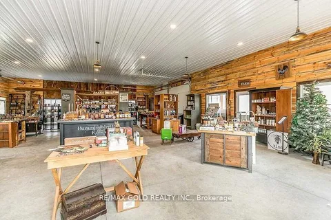 10258 Highway 9, Adjala-Tosorontio, ON L0G 1L0