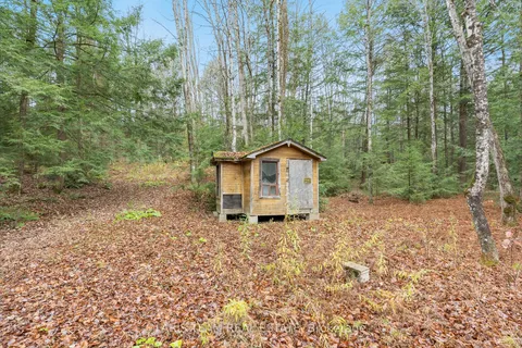 7950 Kings River Rd, Ramara, ON L0K 2B0