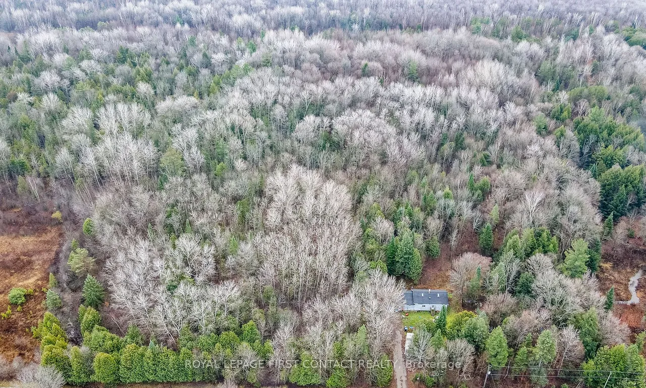 5493 Mcmann Sdrd, Tay, ON L0K 2E0