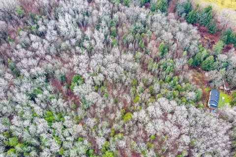 5493 Mcmann Sdrd, Tay, ON L0K 2E0