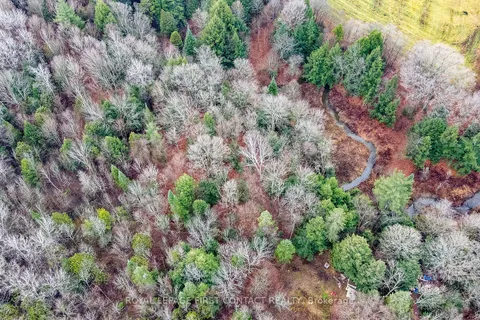 5493 Mcmann Sdrd, Tay, ON L0K 2E0