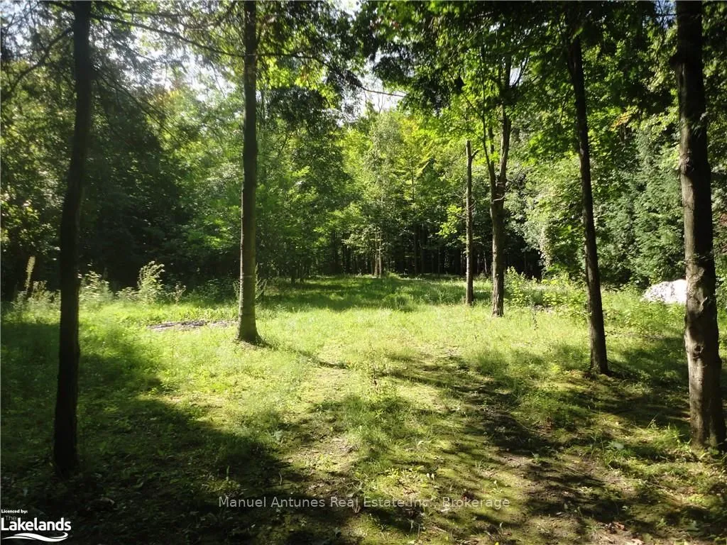 LT 31 MIGHTON Court, ON L0M 1S0