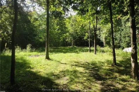 LT 31 MIGHTON Court, ON L0M 1S0